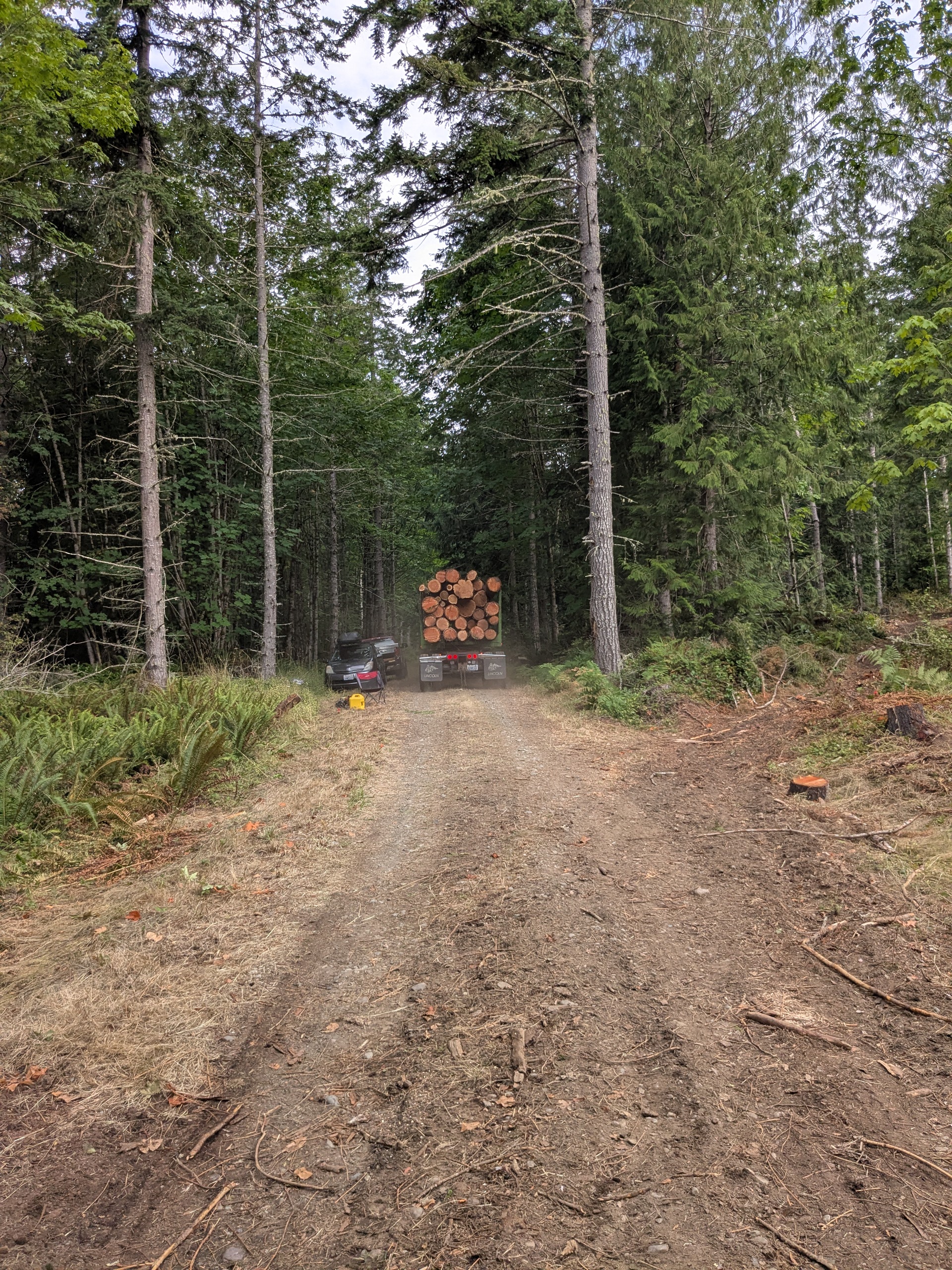 Loaded log truck heading out on a forest road after a selection harvest on the Olympic Peninsula