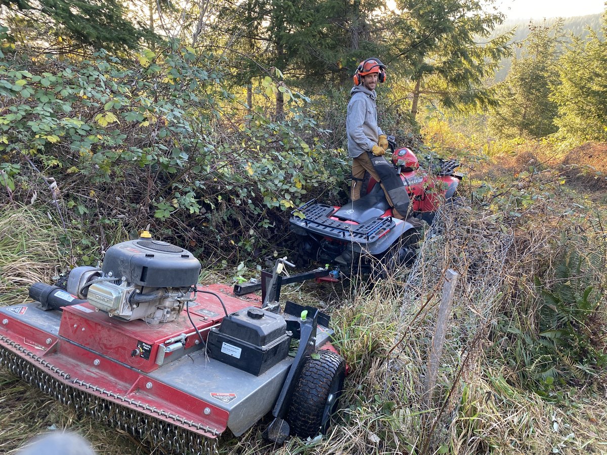 ATV with tow-behind brush mower cutting through invasive brush on the Olympic Peninsula